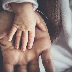 Municipio di San Giorgio Piacentino