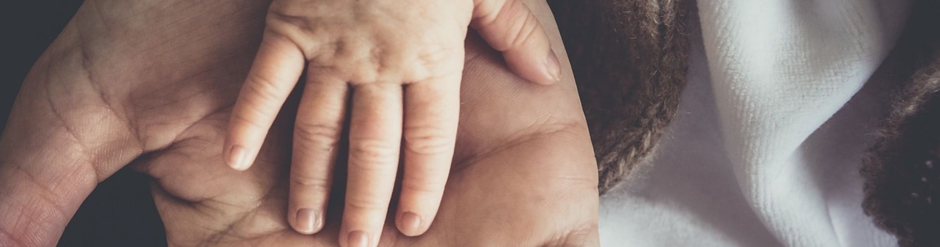 Sede distaccata - Comune di Carpaneto Piacentino